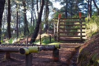 Monteverde - Mazamitla - 1