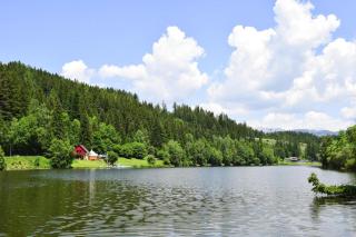 Vacation hut Trabochersee in St Peter-Freienstein - Gmeingrube - 8