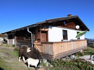 Cabin in Brixental by Ski Lift Access - Mittersill - 4