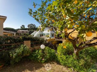 Villa Maria Luisa - 6