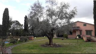 Casale Fonterosa - Montemerano - 7