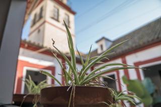 Loft en casa Palacio Mergelina Parking gratis - Sanlúcar de Barrameda - 1