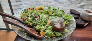 The house of love - 2