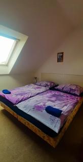 Penzion U Dračí skaly - Svojše - 4