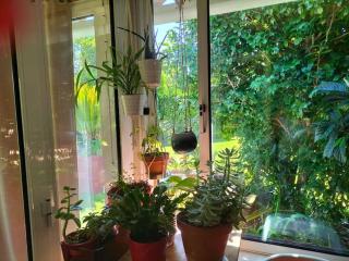 Casa Triana - Soure - 4