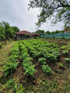 Boutique guest house "SamiKan" - 8