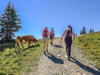 Apartment in Brixen near Wilder Kaiser Gondola - 5