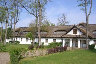 Sarlóspuszta Club Hotel - Tatárszentgyörgy - 6