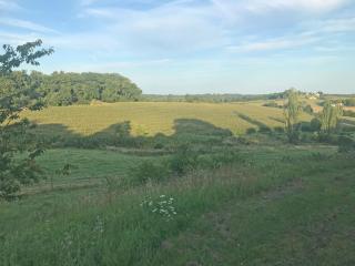 Saint-Marthe Sleeps 20 with Pool - Eymet - 4