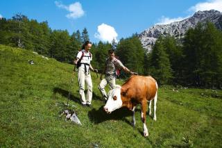 holiday home Kathrin, St Koloman - Grubach - 8