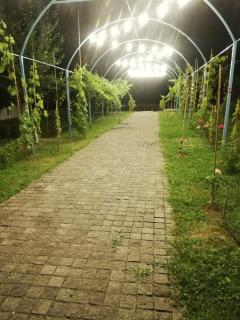 Villa "zepuri" - Dushetʼi - 3