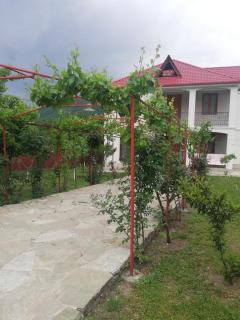 Villa "zepuri" - Dushetʼi - 8
