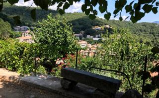 Gite U fragnu di Peruccio - Levie - 3