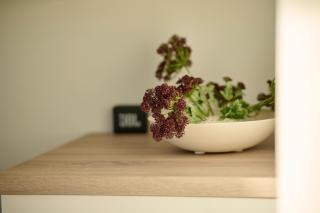 Charmantes Apartment am Stadtrand - Ruhig und doch schnell in der Stadt und am Berg - 2