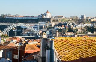 Olival 54 Apartments - Porto - 5
