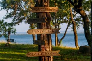 Seahorse Cove - Buchanan Dam - 3