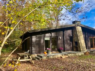 Forest Lodge - Petit Mesnil - 7