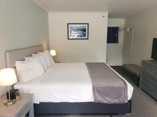 Anchorage Motel - Bar Harbor - 5