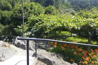 holiday home, Vale de Cambra - Vale de Cambra - 1