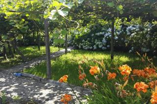 holiday home, Vale de Cambra - Vale de Cambra - 5