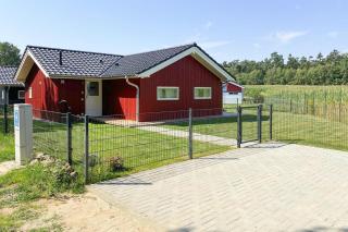 Ferienhaus Larsson mit Sauna am Duemmer See, Dümmer - Dümmer - 8