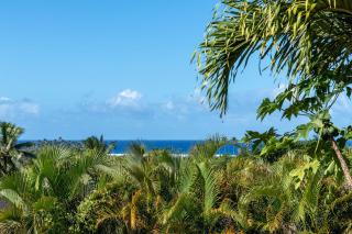 Muri Retreat Apartments - Rarotonga - 6