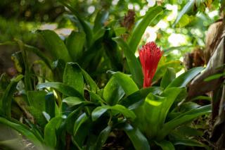 Muri Retreat Apartments - Rarotonga - 2