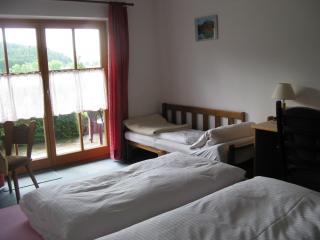 Alpenhotel Allgäu - Hohenschwangau - 1