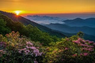 Hiawassee W203 - Asheville - 1
