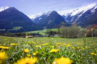 Apartment in Neukirchen with barbecue - Neukirchen am Grossvenediger - 1