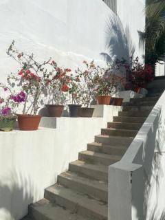 Windy hills hotel - Mui Ne - 1