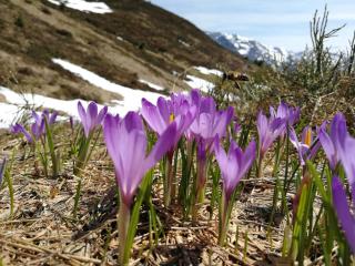 Holiday flat Daniela, Hippach im Zillertal - Hippach - 9