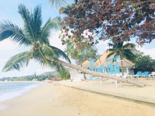 Sand Sea Beach Resort - Lamai - 7
