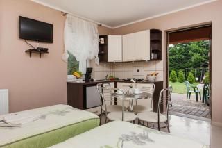 Holiday home for four Person in Dargobadz - Dargobądz - 5