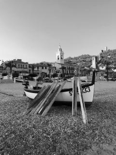 Stella marina - Noli - 8