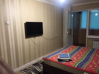 Apartment in Centre - Almaty - 0