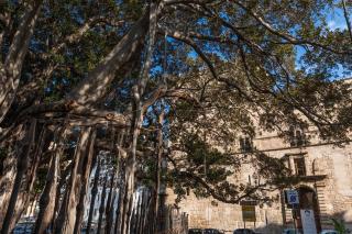 Lungarini Apartment by Wonderful Italy - Palermo - 7