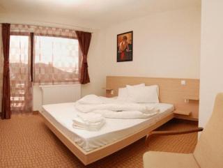 Vila Platoul Soarelui - Straja - 9