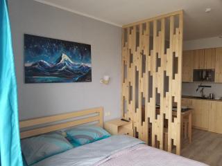 WOODEN HOUSE Twins New Gudauri - Gudauri - 0