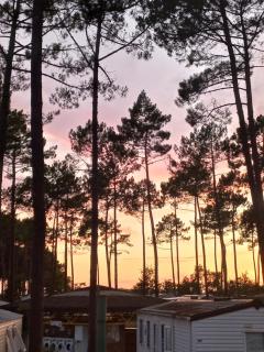 Mobil home Rainbow, camping les dunes de contis - 1