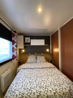 Mobil home Rainbow, camping les dunes de contis - Saint-Julien-en-Born - 6