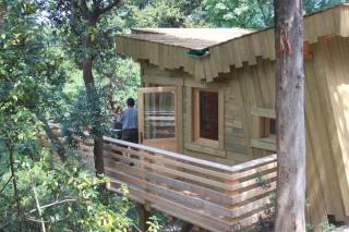 Les Cabanes Dans Les Bois Logis Hôtel - Villedubert - 5
