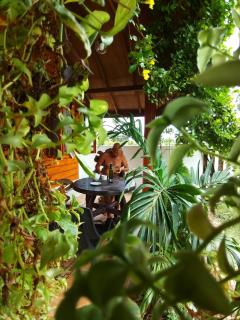 DOT BEY beach cabana - Trincomalee - 1