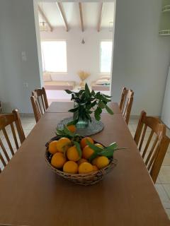 EY House - Halikounas - 4