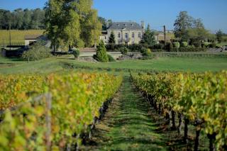 Château Bégot - Lansac - 8
