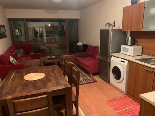Bansko Ski to Door Apartment - 2