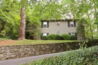 Rogers Hemlock - Lake Junaluska - 0