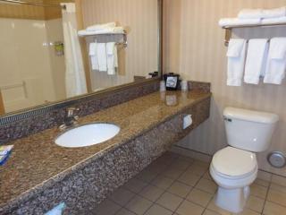 Holiday Inn Express & Suites New Buffalo, MI by IHG - New Buffalo - 9