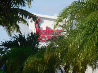Shalimar Motel - Miami - 9