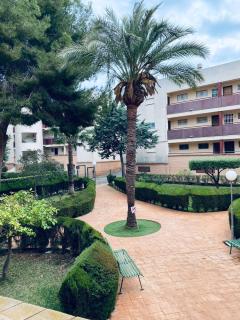 Apartamento Mil Palmeras - Pilar de la Horadada - 7